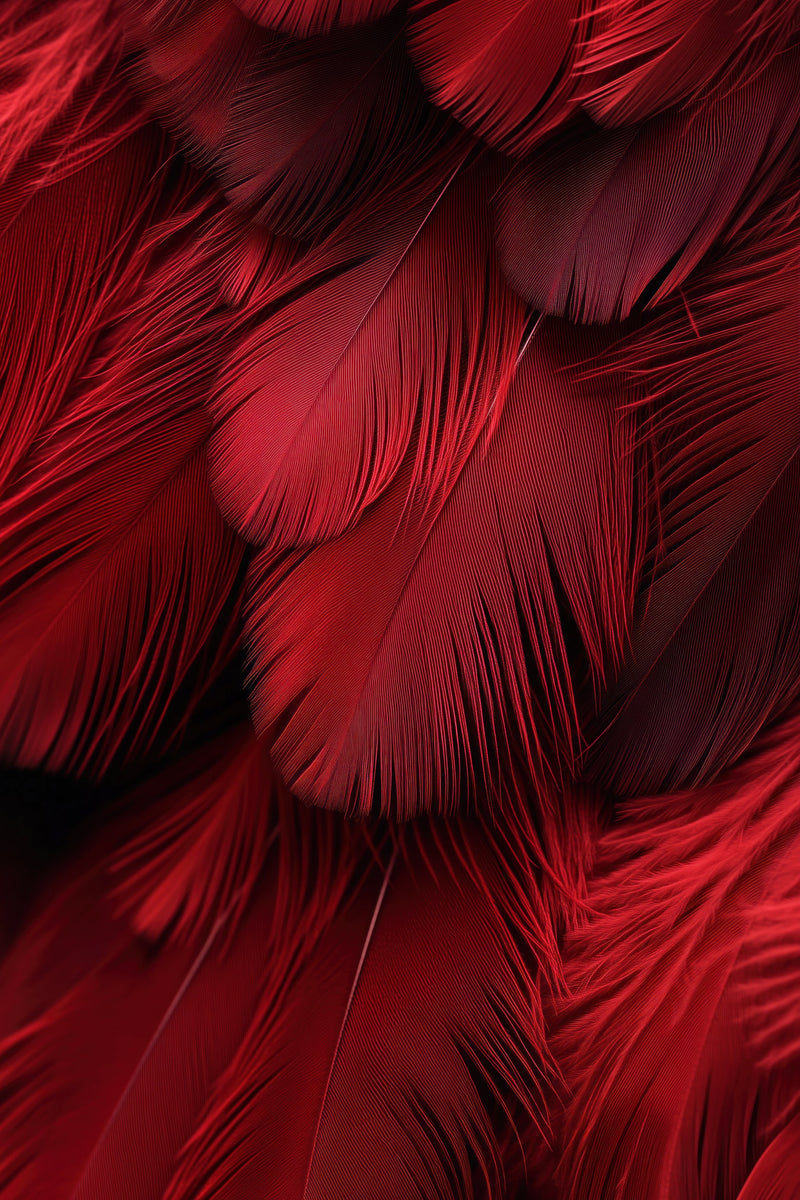 Svajonės ir šampanas