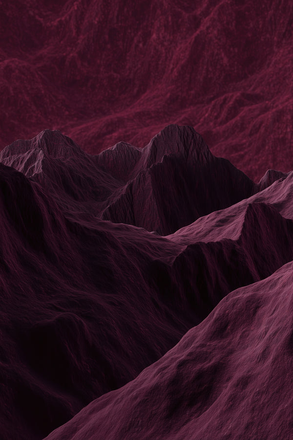 Patirties detalės 2