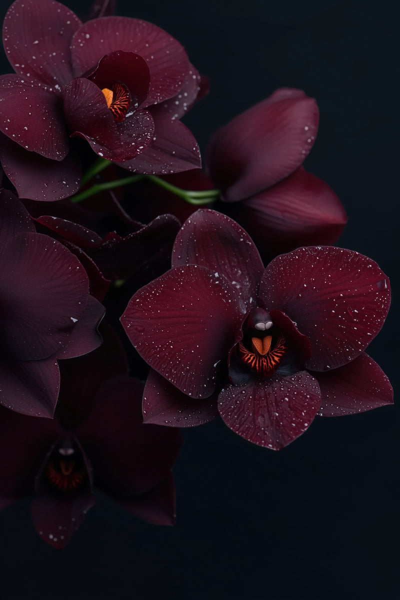 Lūpdažis ir šampanas