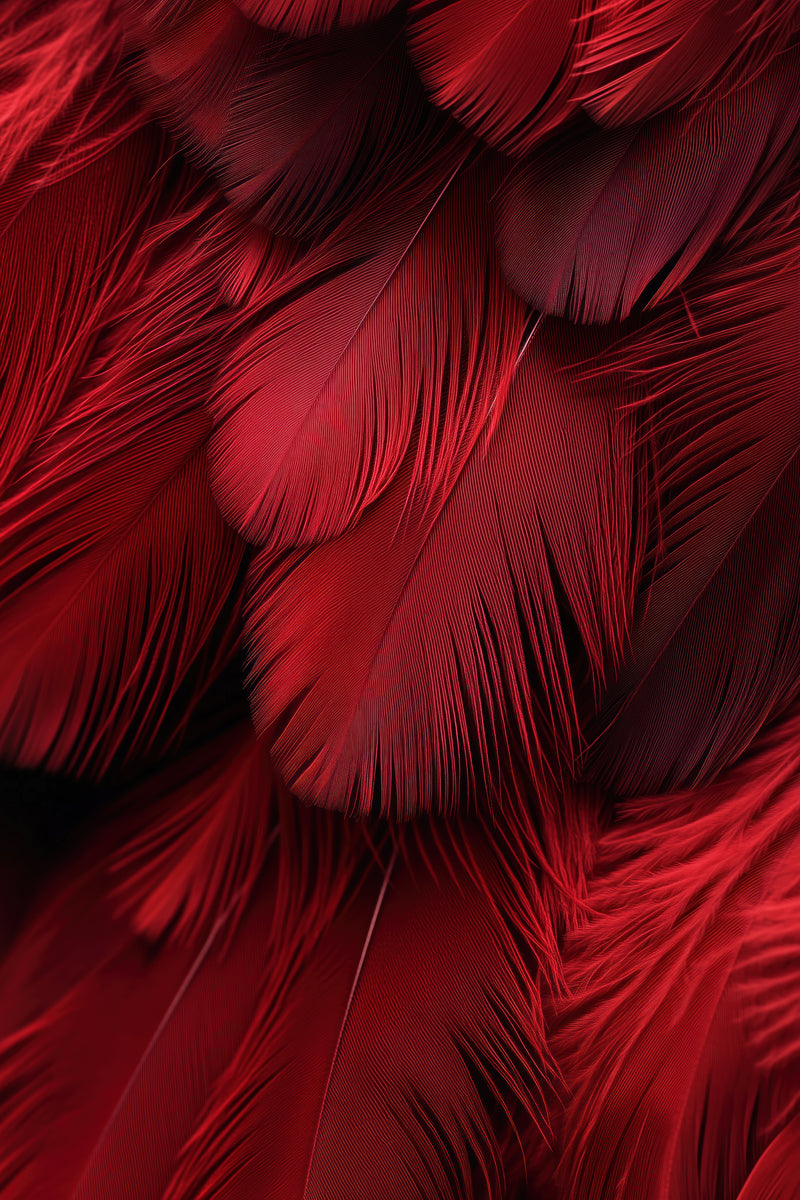 Lūpdažis ir šampanas